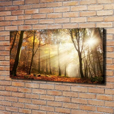 Canvas wall art Fog in the forest