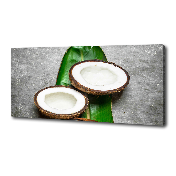 Canvas wall art Coconut halves