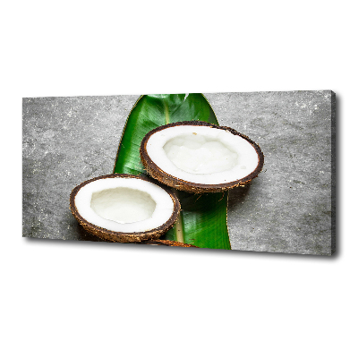 Canvas wall art Coconut halves