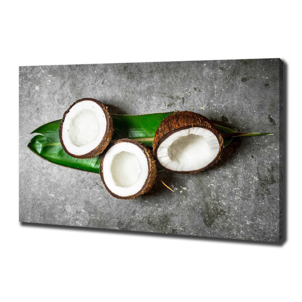 Canvas wall art Coconut halves