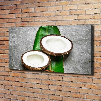 Canvas wall art Coconut halves