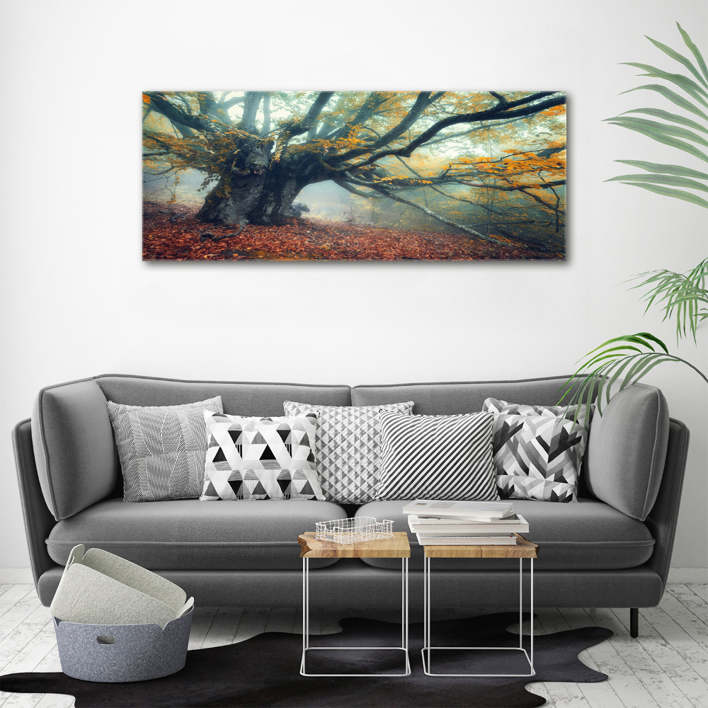 Canvas wall art Old tree