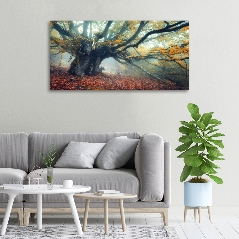 Canvas wall art Old tree