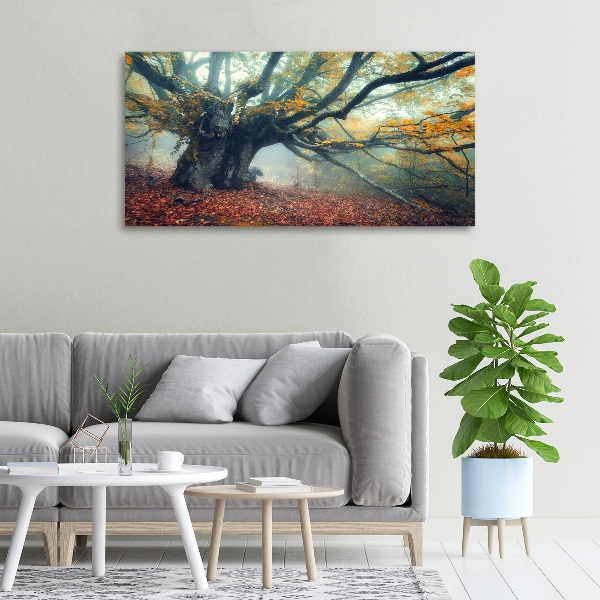 Canvas wall art Old tree