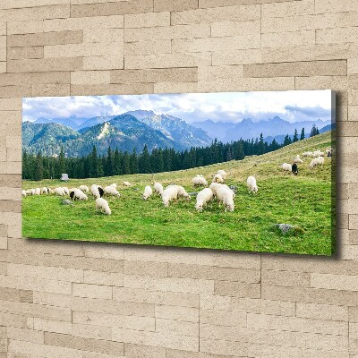 Canvas wall art Sheep in the Tatra Mountains