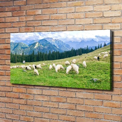 Canvas wall art Sheep in the Tatra Mountains