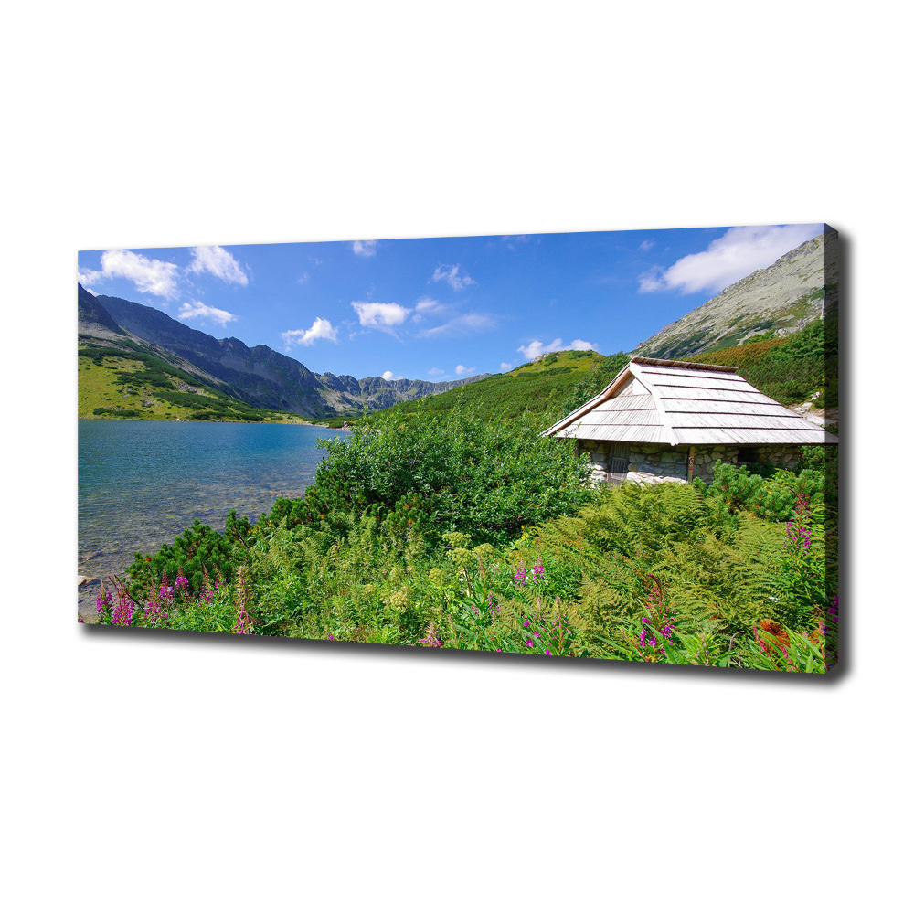 Canvas wall art House in the Tatra Mountains