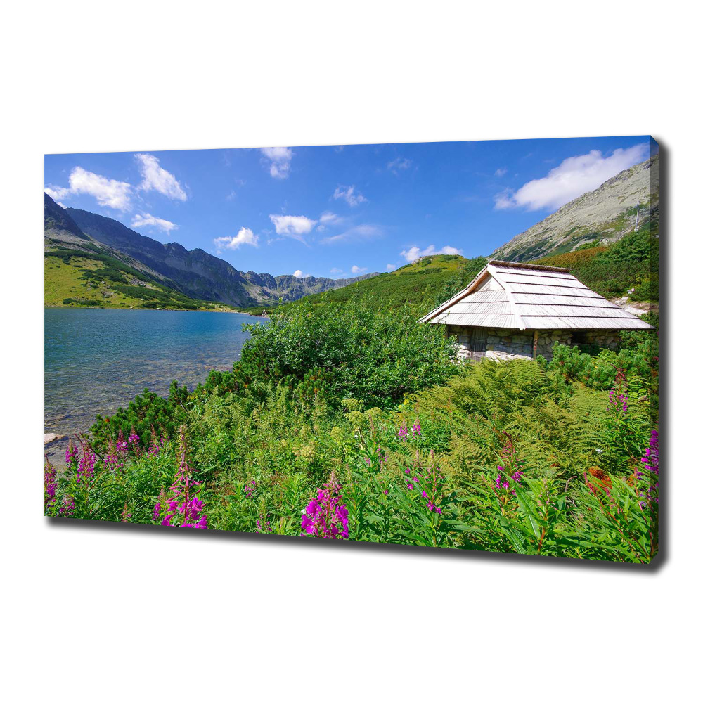 Canvas wall art House in the Tatra Mountains