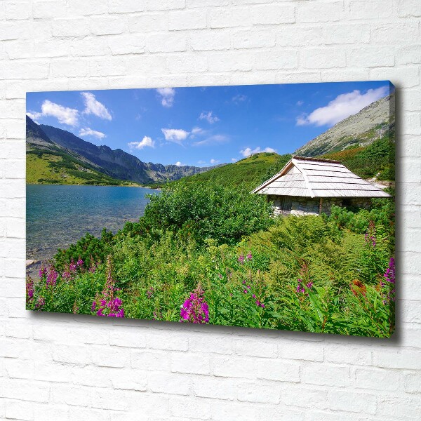 Canvas wall art House in the Tatra Mountains