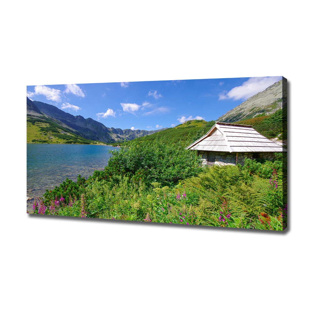 Canvas wall art House in the Tatra Mountains