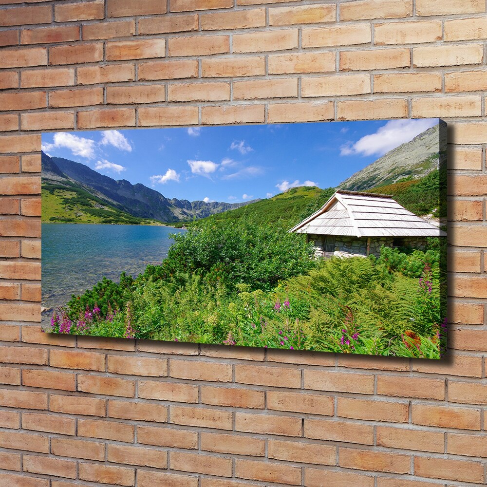 Canvas wall art House in the Tatra Mountains