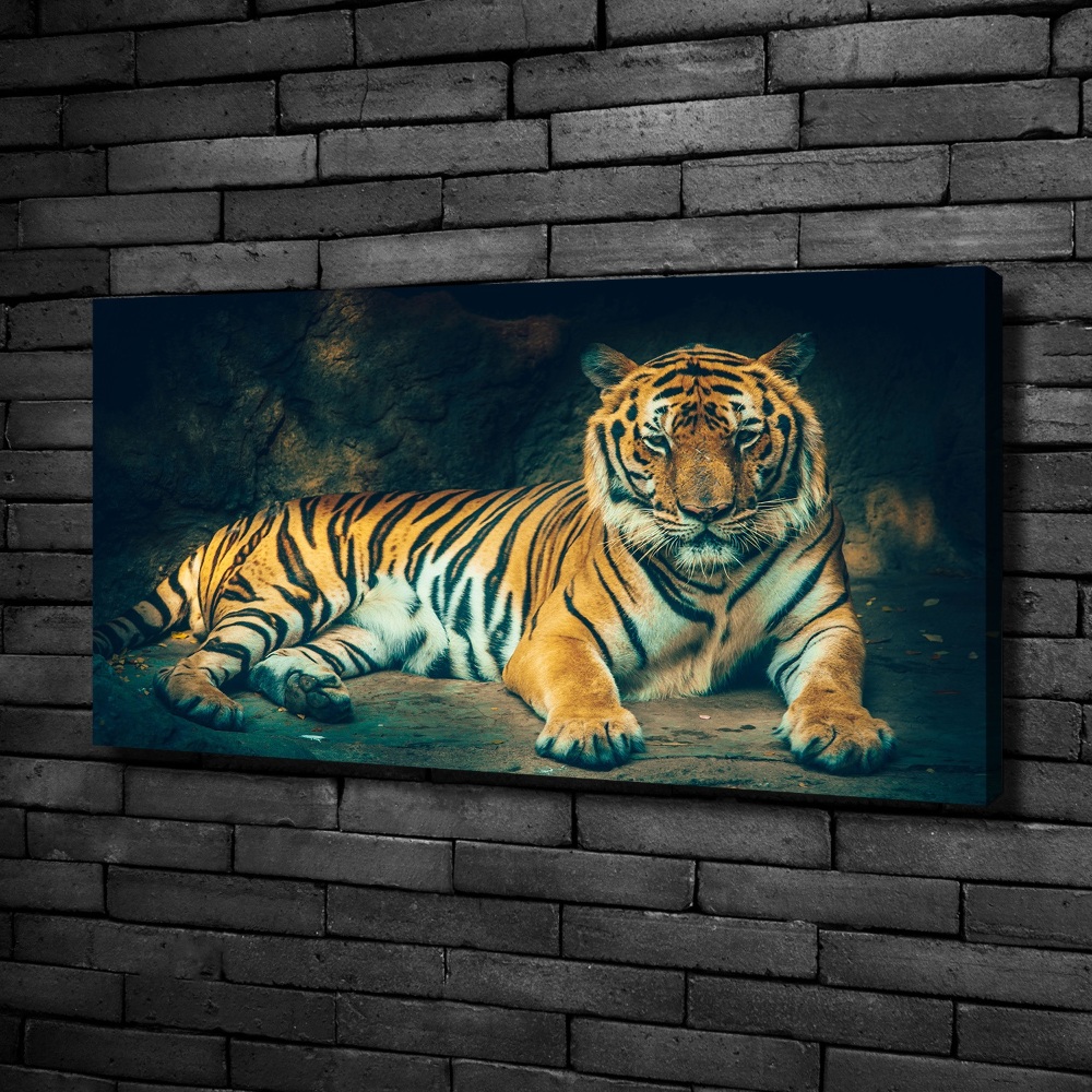 Large canvas wall art Tiger in a cave