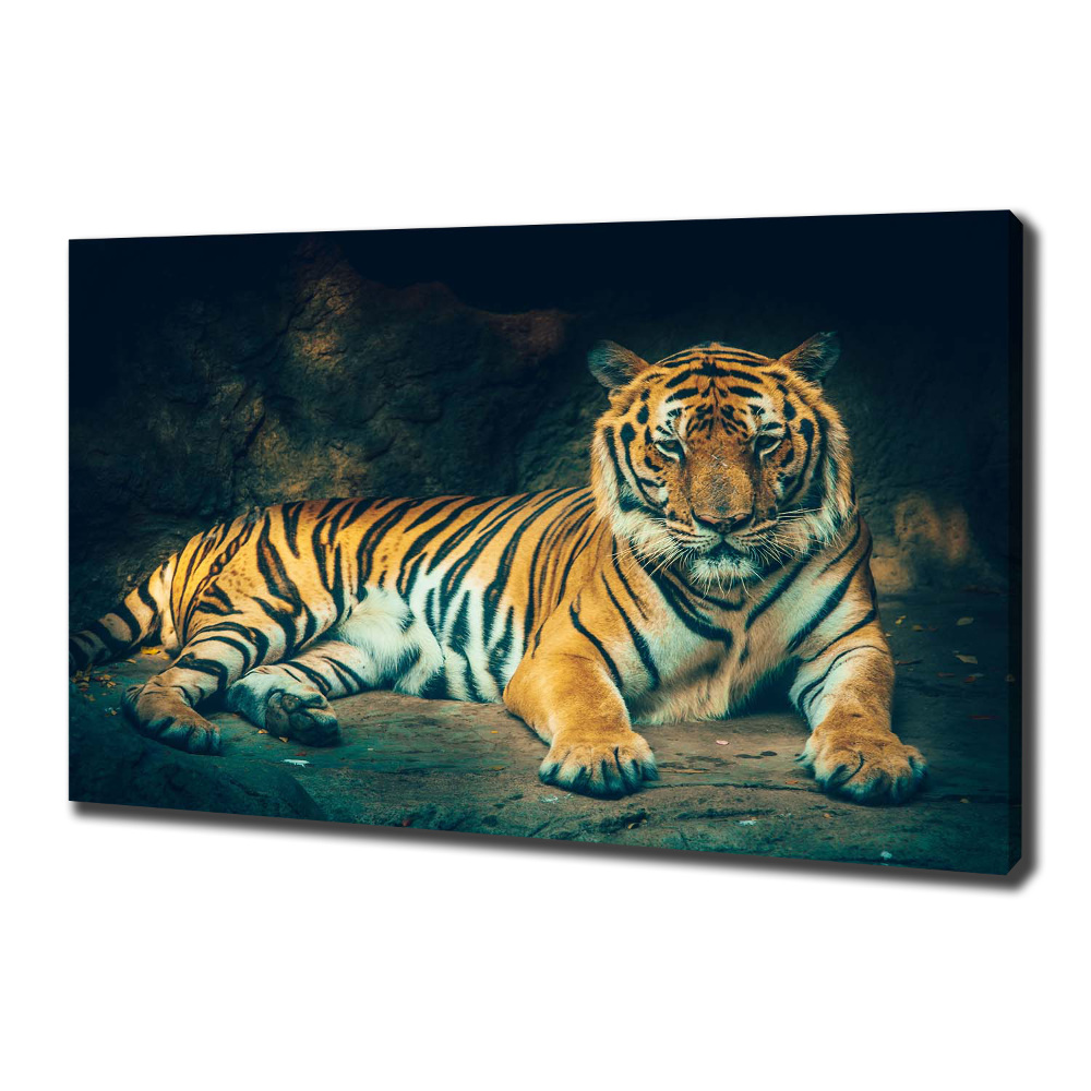 Large canvas wall art Tiger in a cave