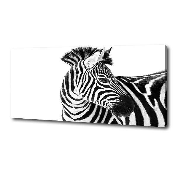 Wall art canvas large Zebra in the snow