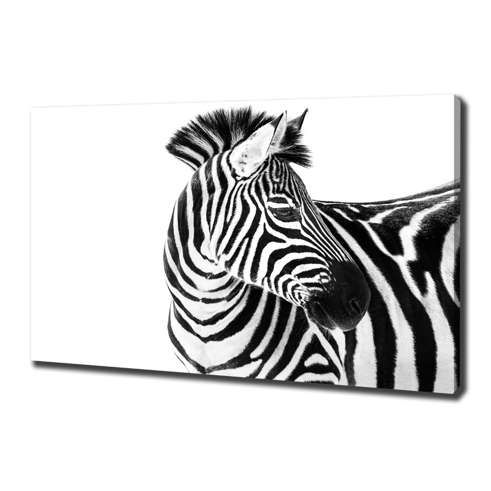 Wall art canvas large Zebra in the snow