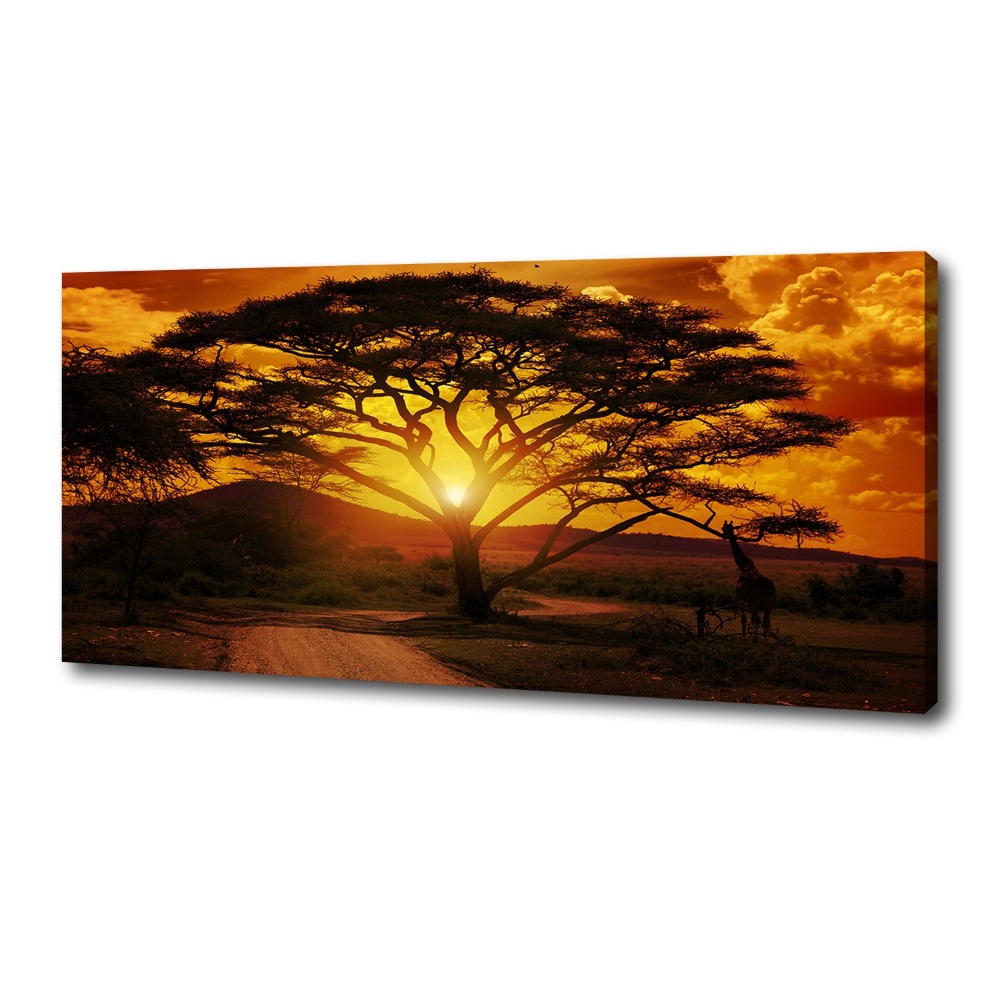 Canvas wall art West Africa