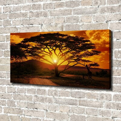 Canvas wall art West Africa