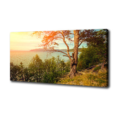 Canvas wall art Scandinavian lake