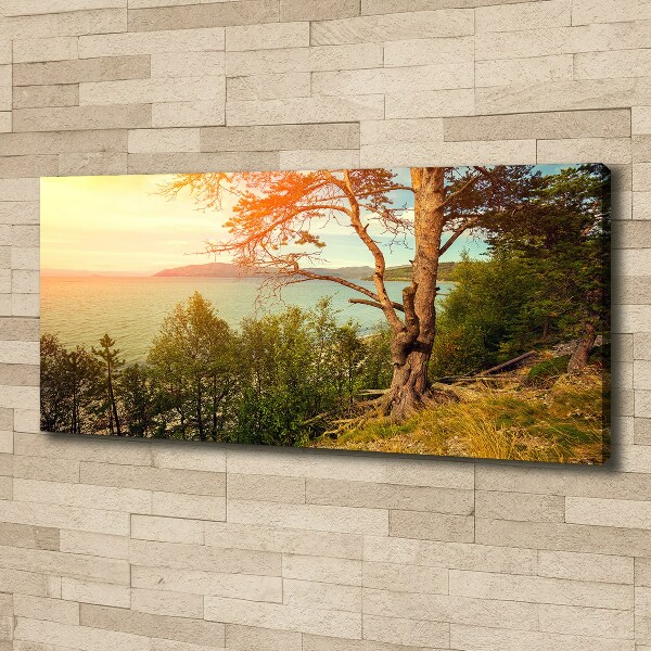 Canvas wall art Scandinavian lake