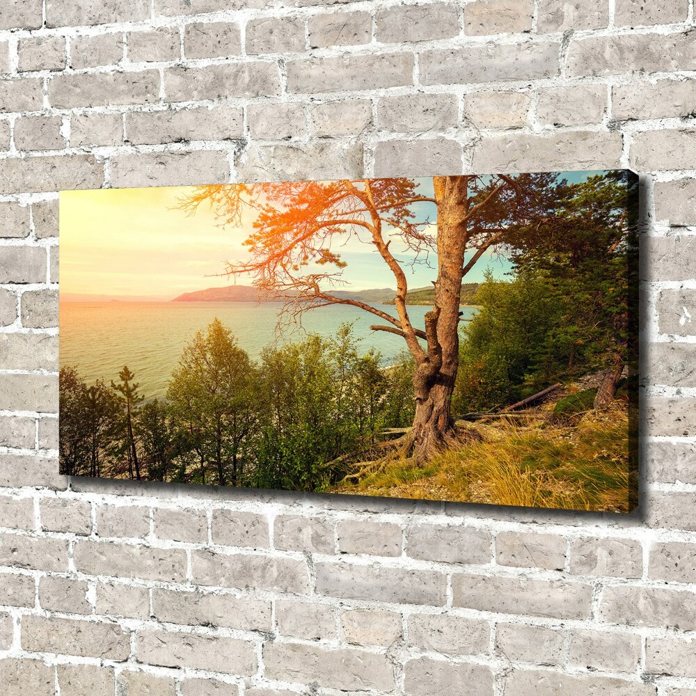 Canvas wall art Scandinavian lake