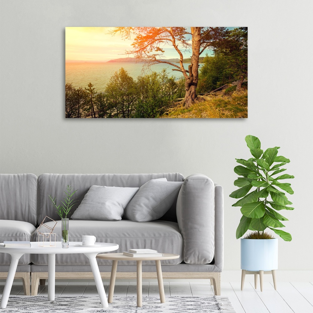 Canvas wall art Scandinavian lake