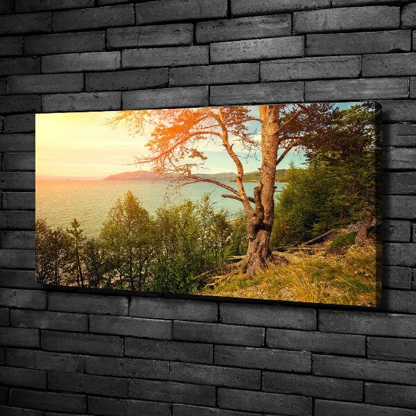 Canvas wall art Scandinavian lake