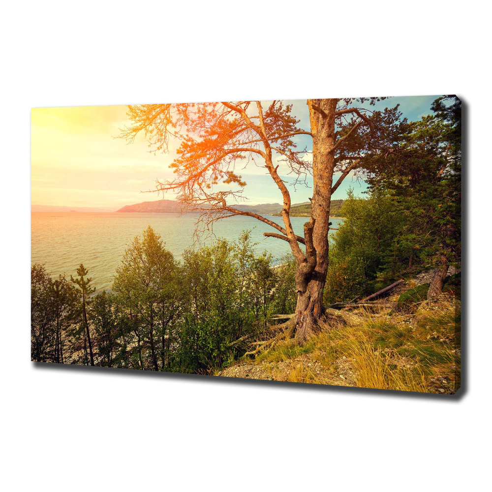 Canvas wall art Scandinavian lake