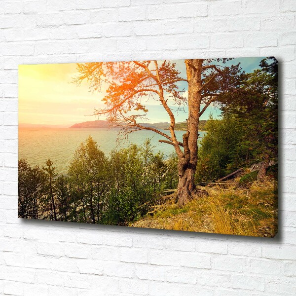 Canvas wall art Scandinavian lake