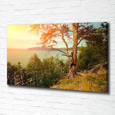 Canvas wall art Scandinavian lake