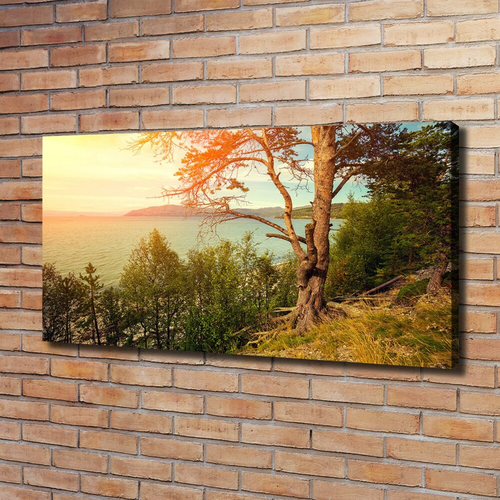 Canvas wall art Scandinavian lake