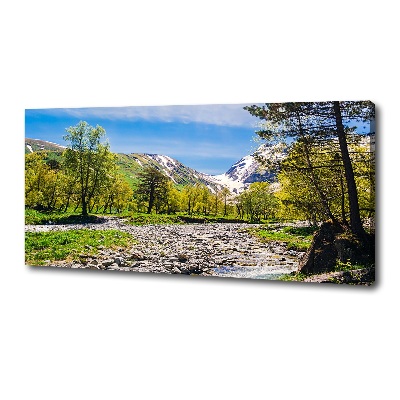 Canvas wall art River in the mountains