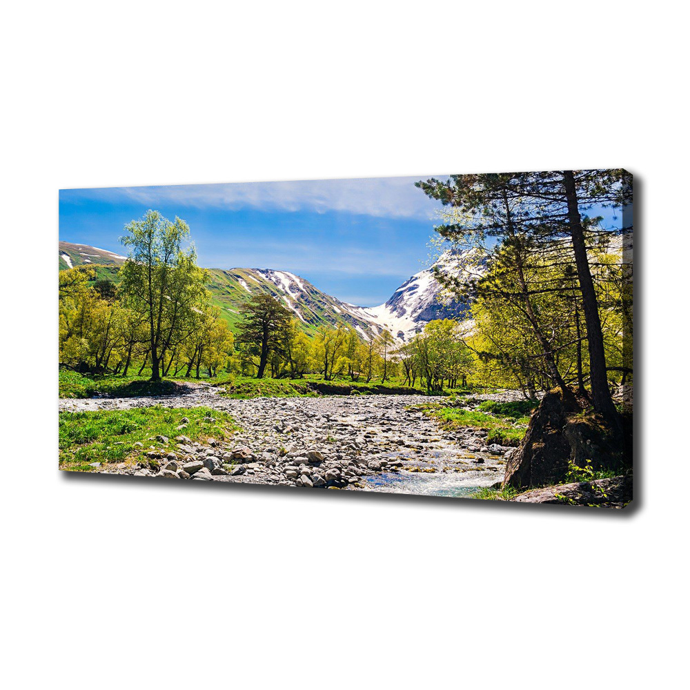 Canvas wall art River in the mountains