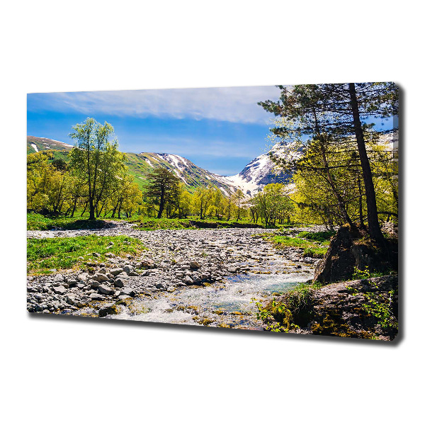 Canvas wall art River in the mountains