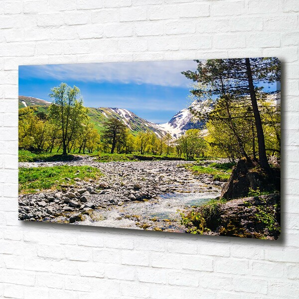 Canvas wall art River in the mountains