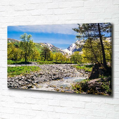 Canvas wall art River in the mountains