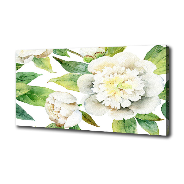 Peonies
