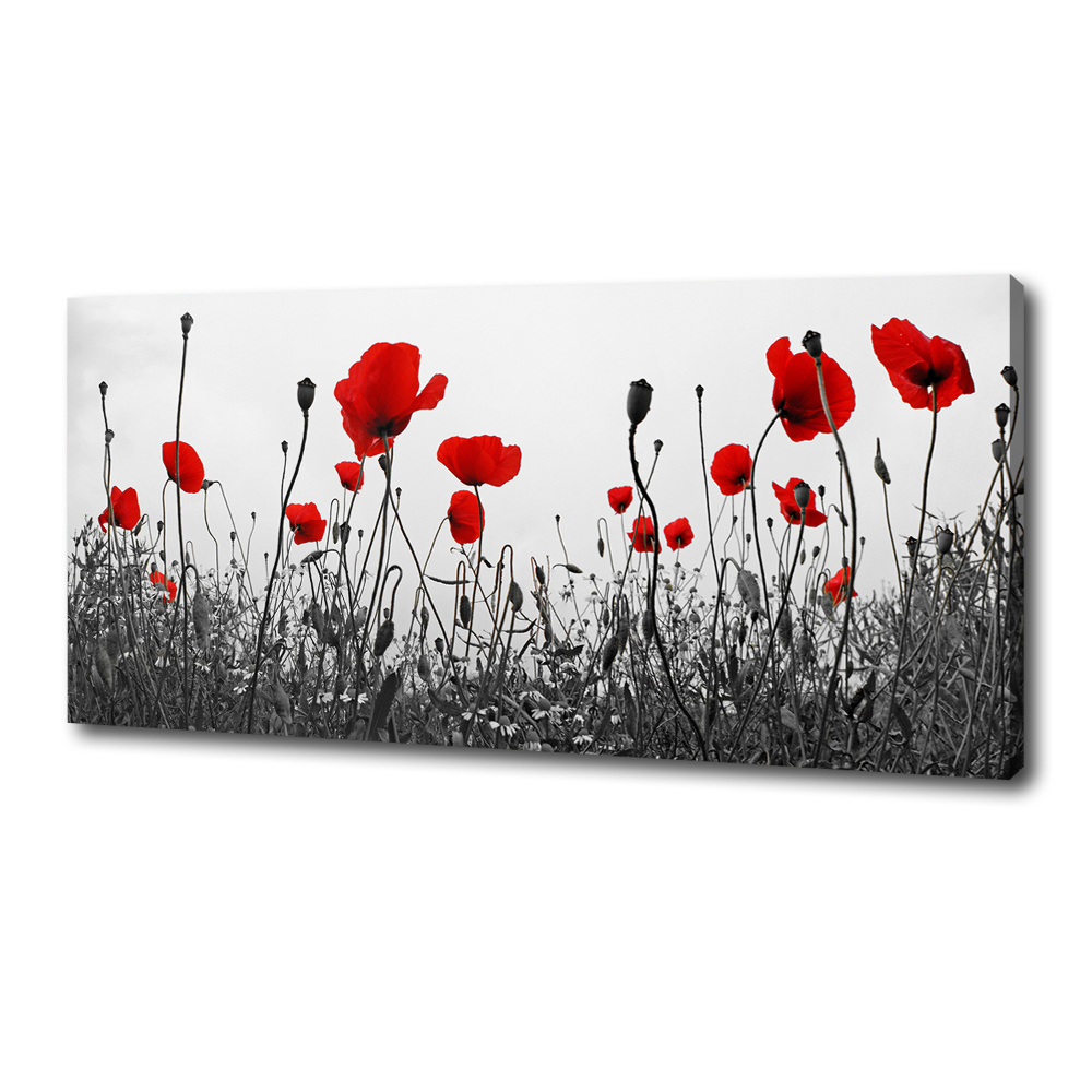 Canvas wall art Macs