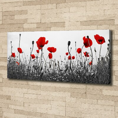 Canvas wall art Macs