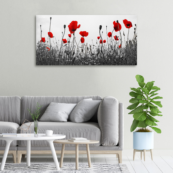 Canvas wall art Macs