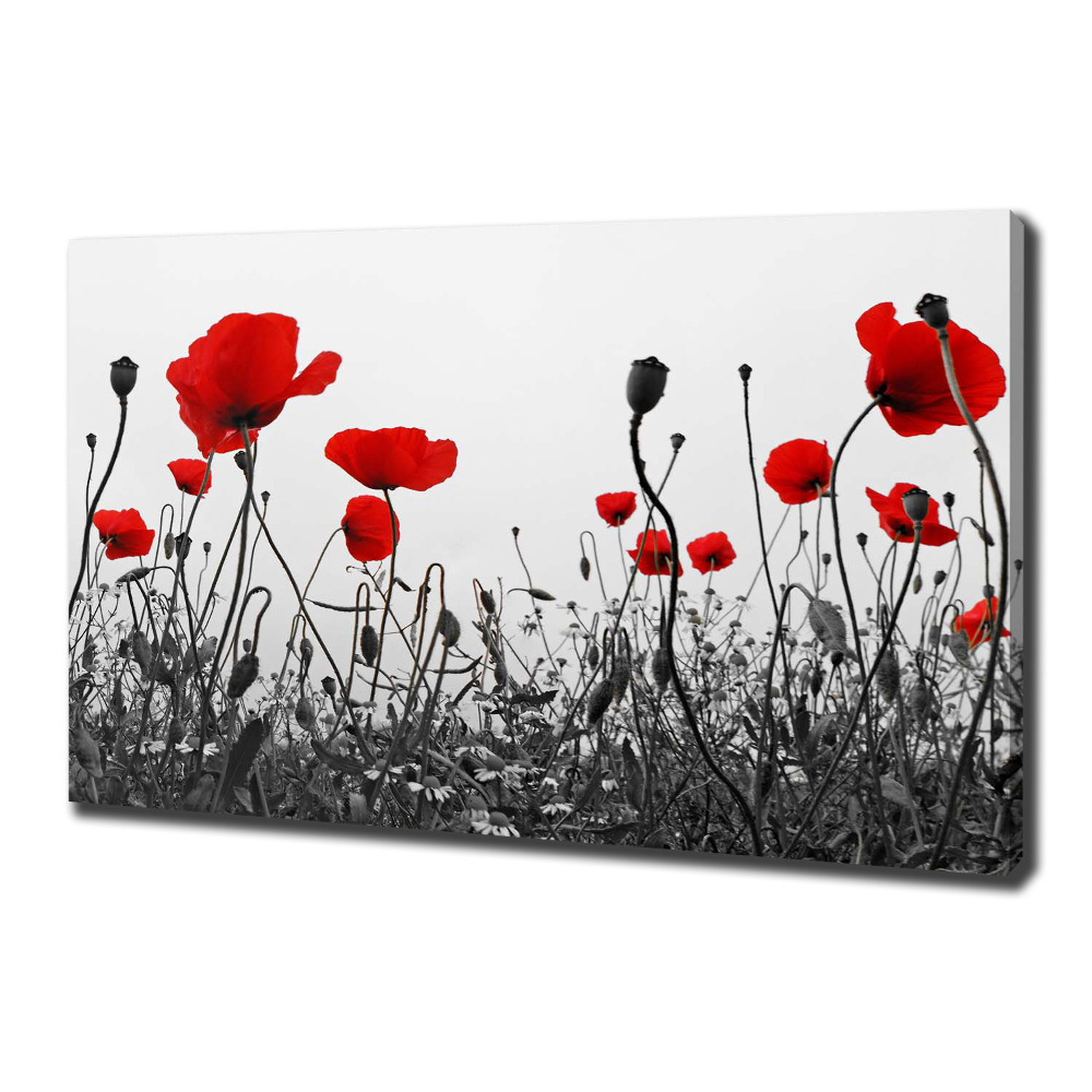 Canvas wall art Macs