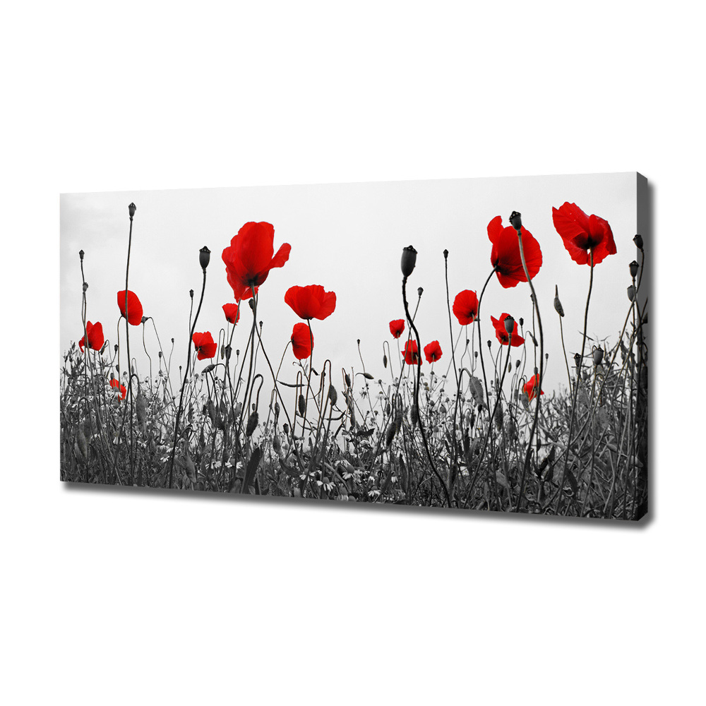 Canvas wall art Macs