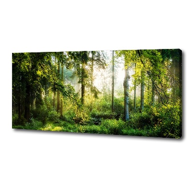 Canvas wall art Morning sun forest