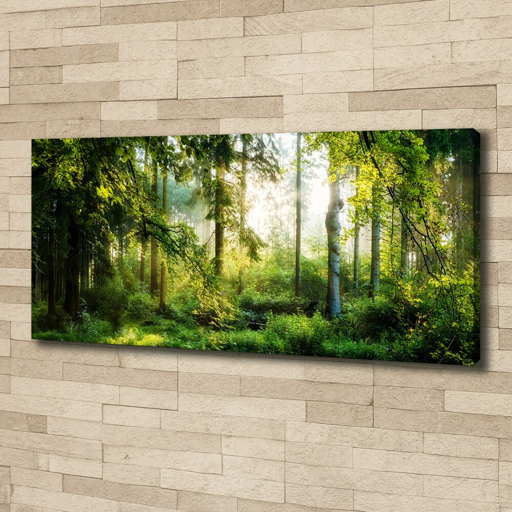 Canvas wall art Morning sun forest