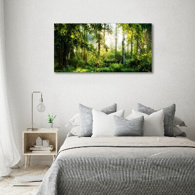 Canvas wall art Morning sun forest