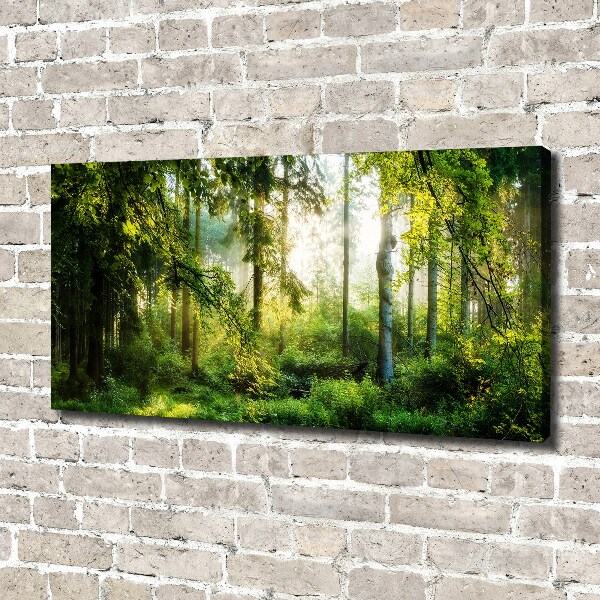 Canvas wall art Morning sun forest