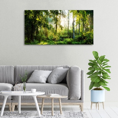 Canvas wall art Morning sun forest