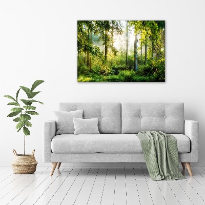 Canvas wall art Morning sun forest