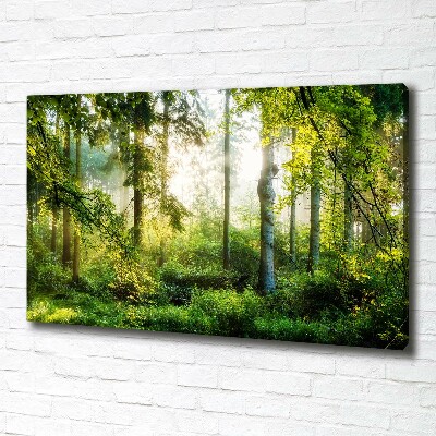 Canvas wall art Morning sun forest