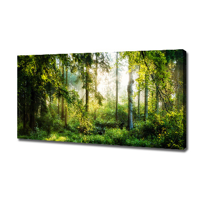 Canvas wall art Morning sun forest