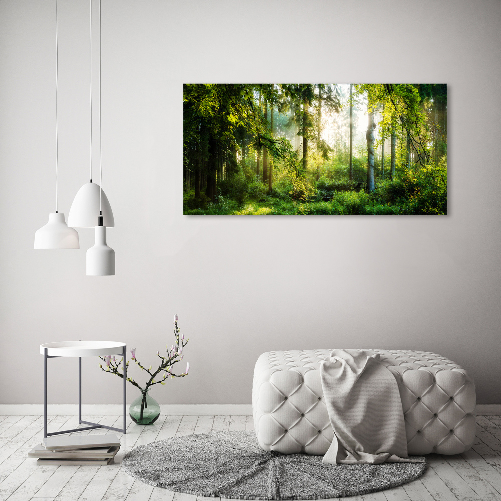 Canvas wall art Morning sun forest